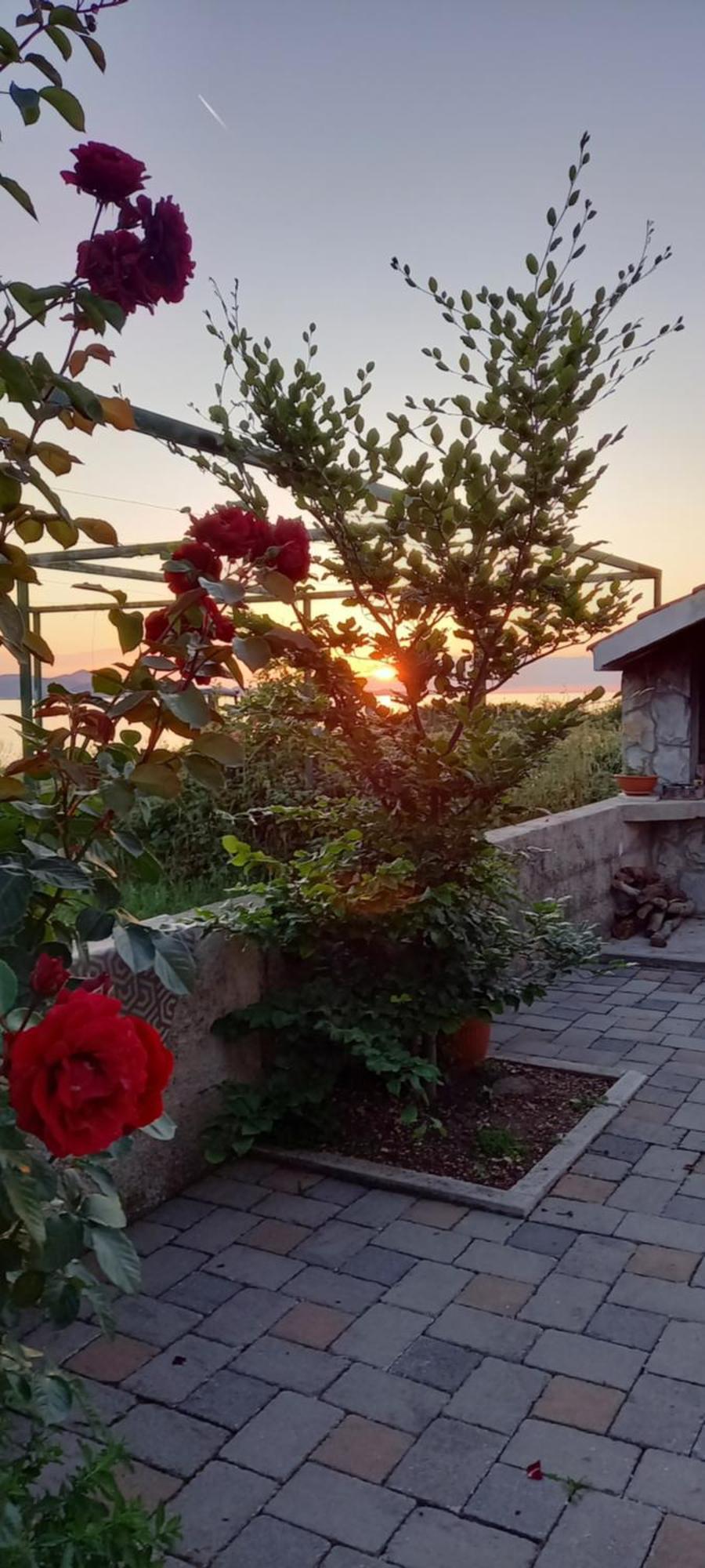 Mustapictanja Apartment Бибине Екстериор снимка